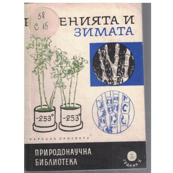 Растенията и зимата