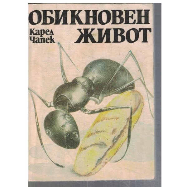 Обикновен живот