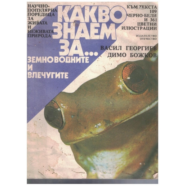 Какво знаем за ... земноводните и влечугите