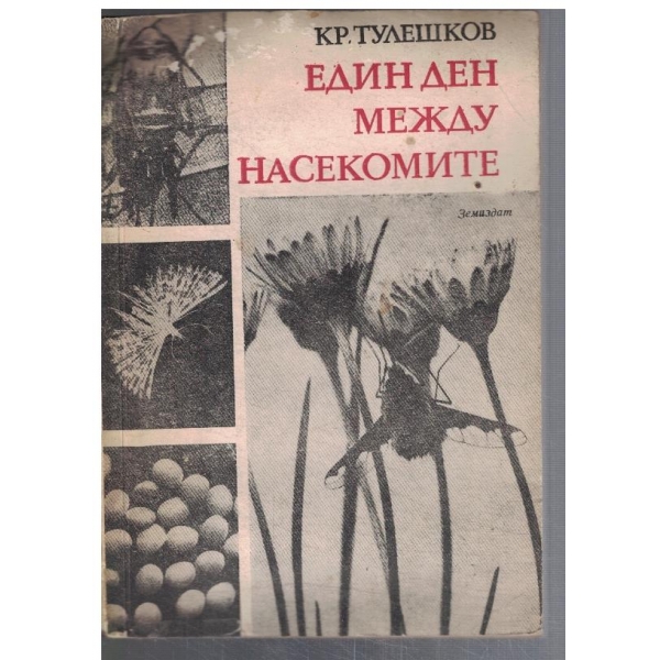 Един ден между насекомиите