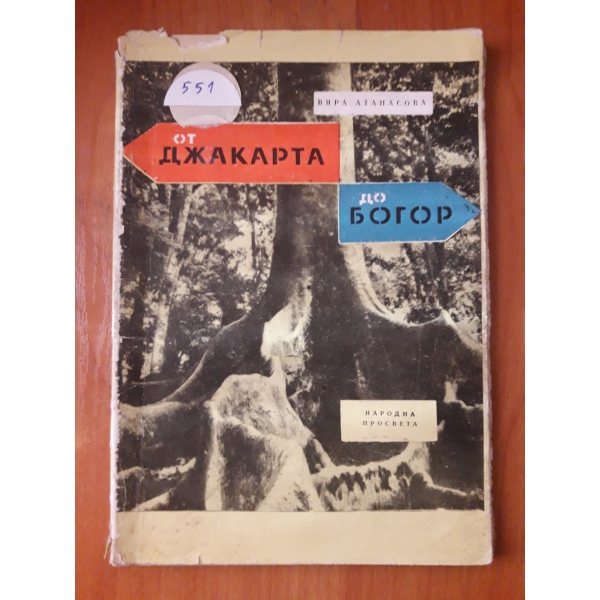 От Джакарта до Богор